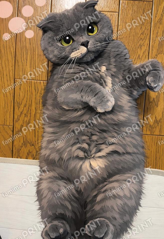 ごろごろレディ