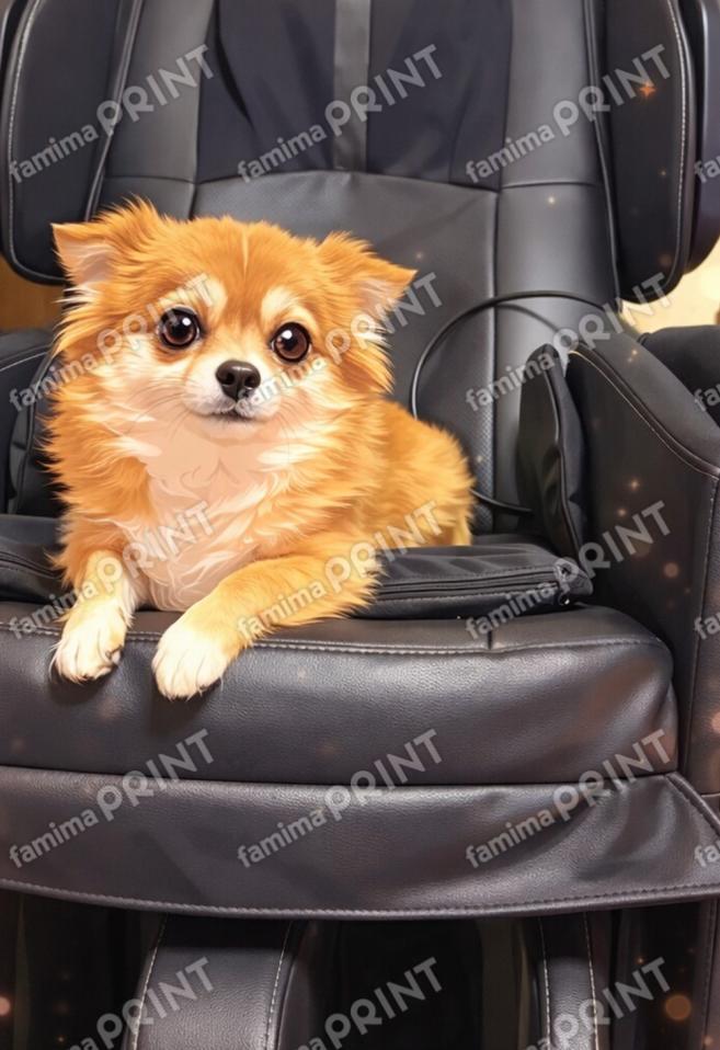 マッサージエースくん