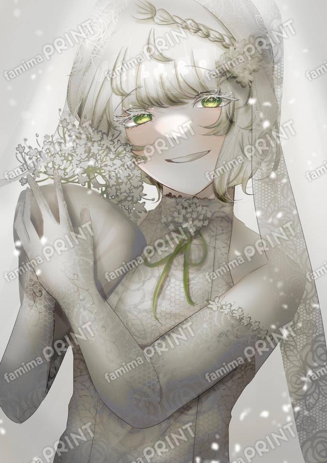 レースフラワー