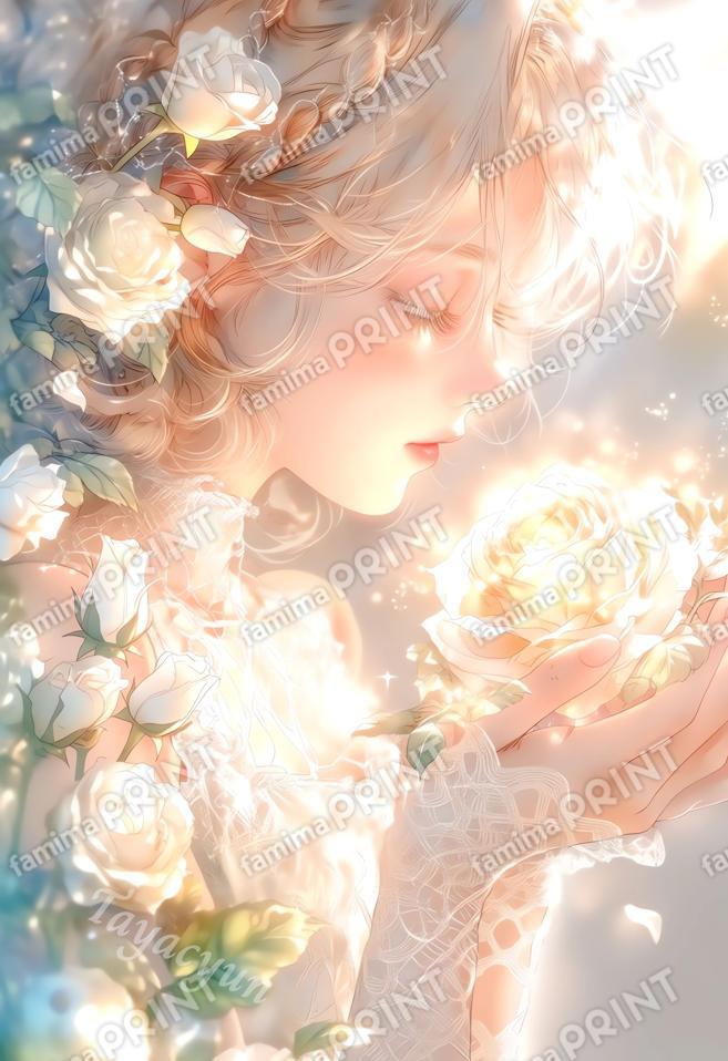 薔薇の光を抱いて