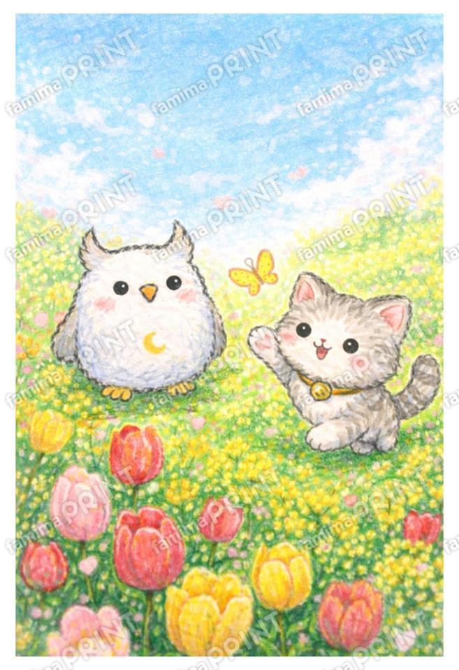 シロフクロウと子猫のお花畑