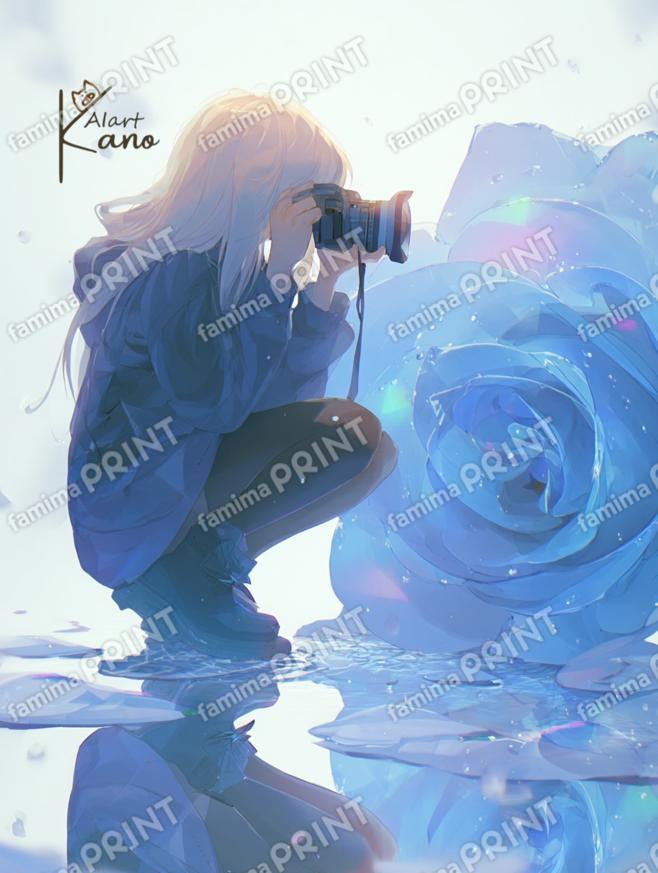 青薔薇を写す。