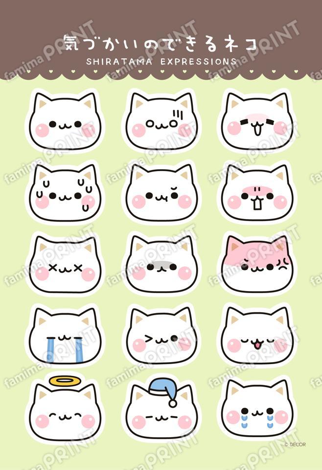 気づかいのできるネコ 顔いっぱい