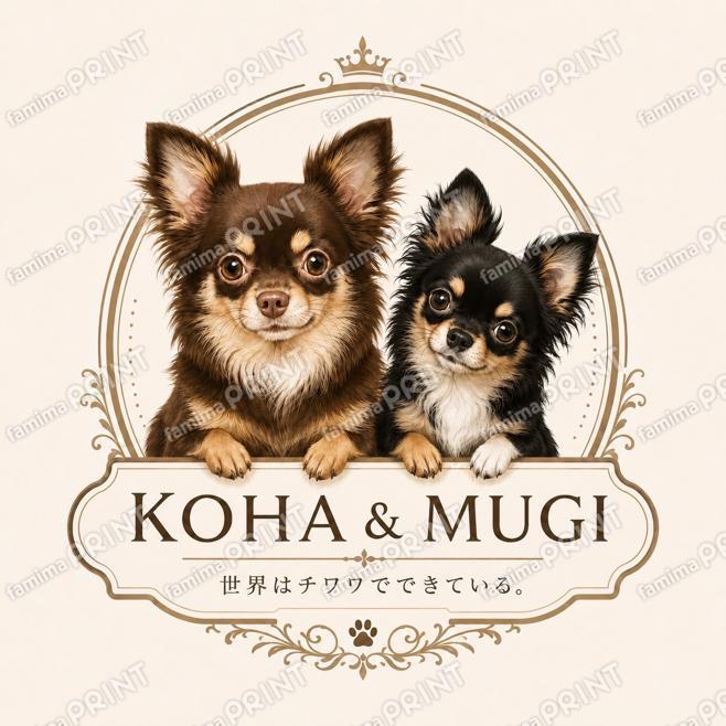 KOHA&MUGI公式シール