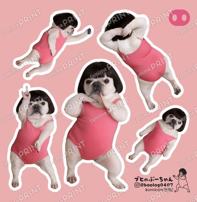 ブヒのぶーちゃん vol.1