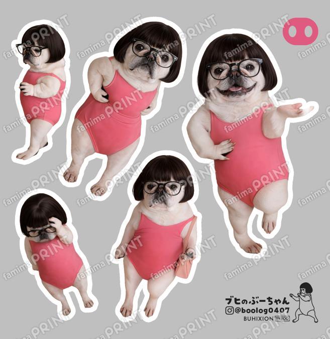 ブヒのぶーちゃん vol.6