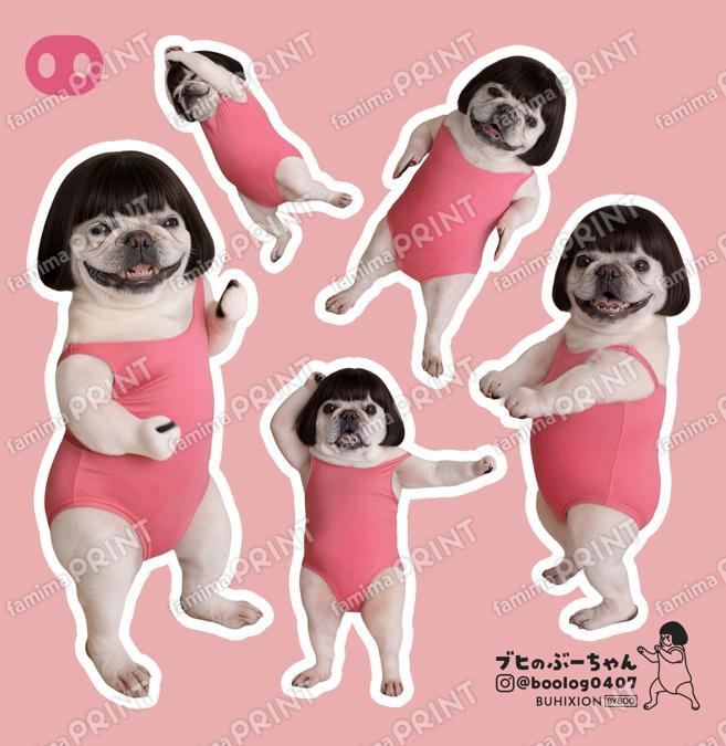 ブヒのぶーちゃん vol.5