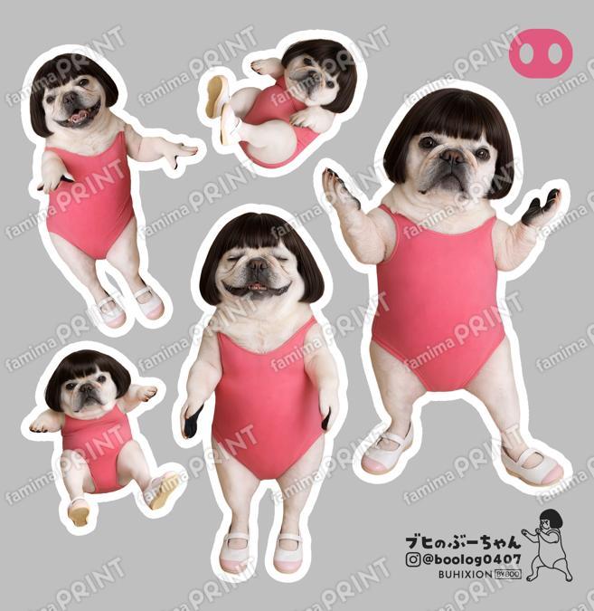 ブヒのぶーちゃん vol.4