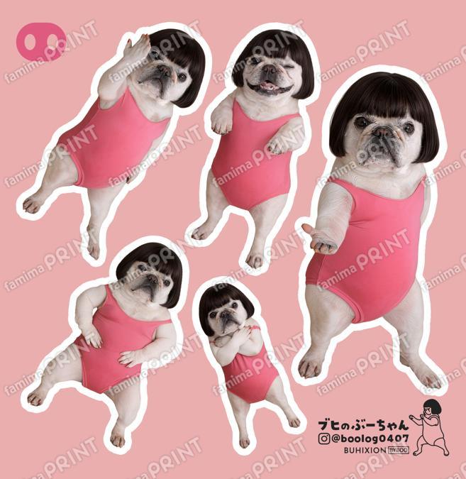 ブヒのぶーちゃん vol.3