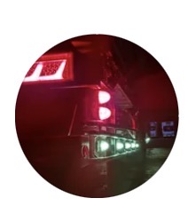 🐺🚚✨一🐺匹🐺狼🐺✨🚚🐺